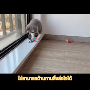 SeasTina ของเล่นแมว หนูตุ๊กตาจำลอง หางขนนกหยอกล้อของเล่นแมว