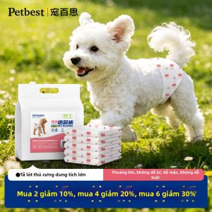 PETBEST | Absorbent Diaper Puppy Physiological Pants