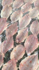 Khô Cá Đổng Mướt Xẻ Rút Xương Tẩm Vị - Chiên Nướng Thơm Ngon - Phơi Nắng Tự Nhiên