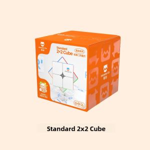 GAN | Childrens Educational Toy 2x2 Cube Gift for Kids