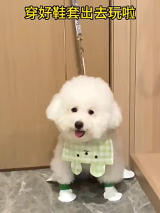 20 Pcs Alas Kaki Hewan Anti Kotor Penutup Sepatu Anjing Kucing Sekali Pakai Tahan Air