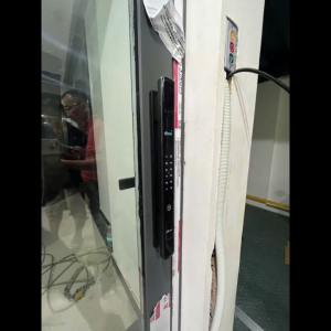 Khóa cửa nhôm vân tay Demax EL909 BL CNC face id app wifi camera chuông cửa chính hãng công nghệ Đức