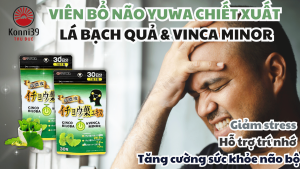 VIÊN BỔ NÃO YUWA CHIẾT XUẤT LÁ BẠCH QUẢ & VINCA MINOR (GÓI DÙNG 30 NGÀY)
