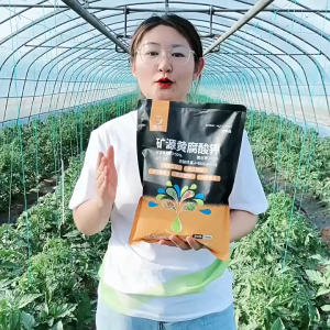 绿陇 矿源黄腐酸钾 土壤活化剂 FULVIC ACID 1 kg Microbial inoculants 矿源黄腐酸钾 Asid Fulvik Kalium Soil Activator Organic humic acid