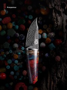 MITSUMOTOSAKARI | Damascus Steel Portable Collectible Limited Edition Sharp High-Hardness Fruit Knife