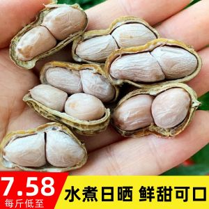 Boiled Peanut Natural White Drying Farm Salt Salty Dry Salt Daily Drying Unhulled Peanut Casual Goes with Wine Snack Snack
