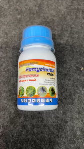 FamycinUSA 150SL – Kiểm Soát Bệnh Vi Khuẩn Trên Rau Màu Ớt Cà Chua Cải – Phục Hồi Nhanh Loang Trải Mạnh