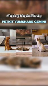 Máy Nhả Hạt Tự Động Cho Chó Mèo Có CAMERA Hai Ngăn Petkit Gemini YumShare 2 Dung Tích 5 Lít