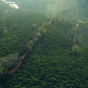 💯现货-瑞幸咖啡 Luckin Coffee Dark Roast Italian Blend Coffee Beans Arabica Coffee Beans 意式拼配咖啡豆 深度烘焙阿拉比卡咖啡豆 500g