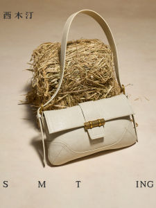 Fashionable Underarm Bag for Women Summer Crossbody Bag Single Shoulder Bag Stylish Small Bag by Ximuding Casual Chic Style