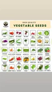 High Quality Vegetable Seeds for Planting – Fresh Organic Easy to Grow