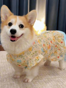 VOA | Cool Summer Lightweight Dog Dress