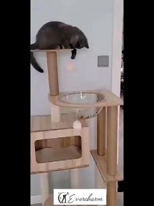 💸สินค้าลดราคา💸คอนโดแมว คอนโดแมวไม้ เสาลับเล็บแมวได้ บ้านแมว  Cat Tree เตียงแมว ที่ลับเล็บแมว ของเล่นแมว ส่วนสูง 130ซม ขนาด 130*60*40 COD