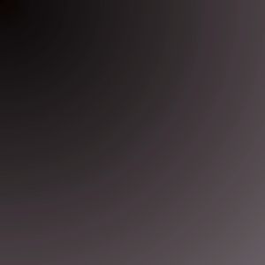 SSD M.2 NVME OSCOO FOR MAC ON900A 256GB