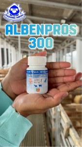 ALBENPROS 300 1 botol 50Kaplet Obat Cacing Anak Sapi Kambing Domba cempe pedet cacing pita hati paru