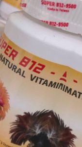 B12 9500 gom bo cấp tốc đá bo lớn nạp bin nhanh kích thích gà thèm ăn 100 viên.TẶNG kèm 1 viên công xanh