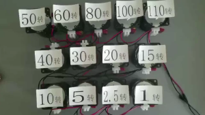 15RPM 50RPM Ac Motor Motor Gearbox 14w 220v Permanent Magnet Synchronous Motor