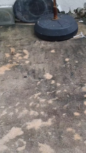 EAQT100-L BOSCH เครื่องฉีดน้ำแรงดันสูง EASYAQUATAK100 LL SG set รุ่น 06008A7EK1 พร้อมส่ง ประกัน ออนไลน์ ส่งจากไทย