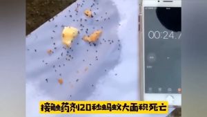 ยาฆ่ามด ความปลอดภัย ยากําจัดมด ยาฆ่าปลวก ยาฆ่าแมลง ยาฉีดมด ไม่เป็นอันตรายต่อมนุษย์ การผลิต 100%