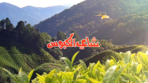 Al Kbous Tea Yemeni Tea Arabic Tea Fine Black Tea Powder