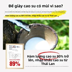 JVBV | Đế Giày Chống Vi khuẩn Hấp thụ Mùi Latex cho Nam