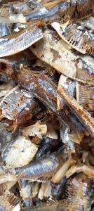 1Kg Khô cá trích bùi ngọt thịt đã bóc sạch vỏ_Đặc sản xứ Nghệ