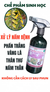 Chế phẩm sinh học trừ nấm BioGreen688 chuyên cho nấm bệnh sương mai phấn trắng thán thư cháy lá rỉ sắt vàng lá đốm đen trên cây trồng mai vàng rau hoa lan hồng cây ăn trái chai 100ml