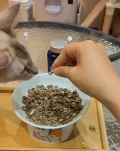 Vitamin Ikan Kucing dan Anjing TUNGHAI Fish Liver Oil 500 Capsules - Vitamin kucing biar sehat gemuk/bulu lebar gemuk/nafsu makan/penggemuk