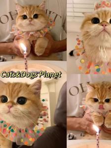 Pet Party Hat Scarf Towel Cat Dog Bib Costume Birthday Prop Decoration Photo-taking Pet Supplies Universal Triangle Scarf