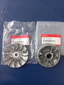 Chén Bi Cánh Quạt : Sh Ý  Dylan  Ps @ ( Loại 1 )