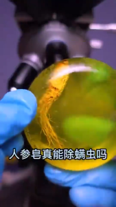 Ginseng Soap Acne Whitening Moisturizing Reduce Skin Redness Efficient Mite Removal Antibacterial Soap Antipruritic Acne Control Oil Shrink Pores Mite Removal Soap 100g