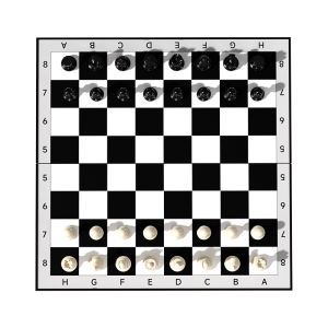 SHENWO | Magnetic Large Chess Set for Children Portable