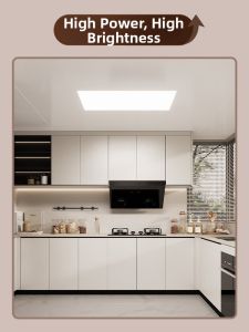Philips | Kitchen Bathroom Aluminum Panel LED Ceiling Light 300x600mm