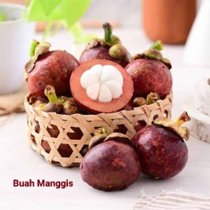 Bibit Tanaman Buah Manggis Super Murah Seedling Atau Okulasi