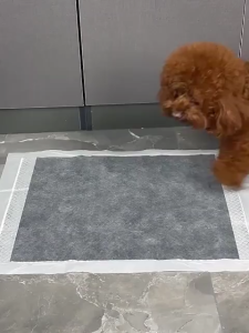 Dog Pee Pad Pet Training Pads Disposable Pee Pads for Dogs Charcoal Training Pad for Dogs (S/M/L/XL)
