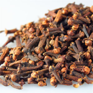 ชุดวัสดุการปั๊มน้ำพริกธรรมชาติ DIY Handmade Natural Dyeing Plant Dyeing Wax Dyeing งานฝีมือแบบทันสมัย ​​ของใหม่