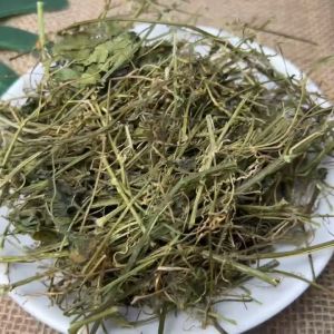 Dây Khổ Qua Rừng Sấy Khô Mát Gan Thanh Nhiệt Ổn Định Đường Huyết - An Hoà Phát