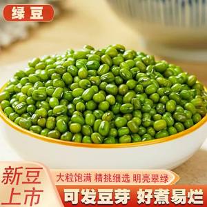 Fresh Easy to Cook Sand-like Pudding Mung Beans