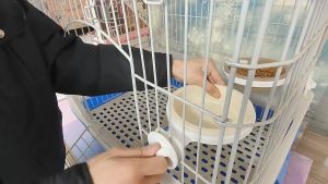 Chén gắn chuồng cho Chó Mèo bằng nhựa có nút vặn - Love pets shop