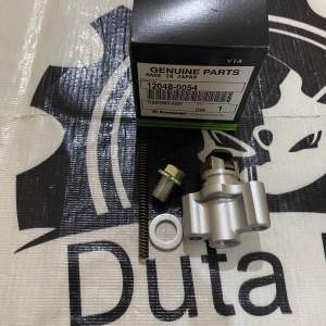 TONJOKAN RANTE KETENG TENSIONER ASSY NINJA RR MONO Z250SL KLX 250 ORIGINAL