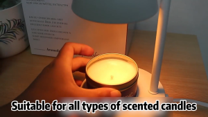 SHANBEN Mini wax lamp white light home bedroom decorative fragrance lamp 220V direct plug