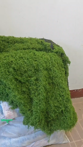 500gram Aquamotic Artificial Turf Simulation Moss Lawn Artificial Moss Fake Moss Landscape Layout Green Plant