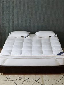 KANGERXIN | Soft Comfortable Feather Mattress