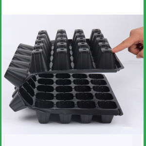 🔥 ส่งไว 🔥 105 หลุม 100 แผ่น 10 ตัว ถาดเพาะกล้า ถาดเพาะชำ ถาดเพาะต้นกล้า ถาดเพาะต้นอ่อน ถาดเพาะเมล็ด ถาดเพาะข้าว ถาดเพาะปลูกผัก ปลูกต้นไม้ - สำหรับการถาดเส้นออนไลน์