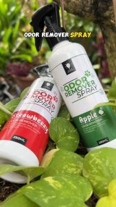Clever Solutions - ODOR REMOVER 250ML VARIAN AROMA (Spray Penghilang Bau Pesing Kotoran Hewan Kucing Kelinci Anabul Antibakteri Penghilang Bau Pesing Urin Urine) [Novamos Freya]