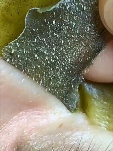 Clean Face Mask And Beautiful Muscle 80ml 韩伦美羽焕颜撕拉面膜清洁毛孔去黑头清洁面膜补水保湿泥膜