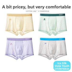 Cool Ice Silk Underwear for Teenagers