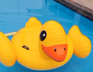 LOOKMEESHOP แพเป่าลม แพยางเป่าลม ลายลูกเป็ดน้อยสีเหลือง นกแก้้ว นกเงือก ยูนิคอร์น และลายแฟนซีอื่นๆ มีให้เลือกหลายแบบ สีสันสดใส