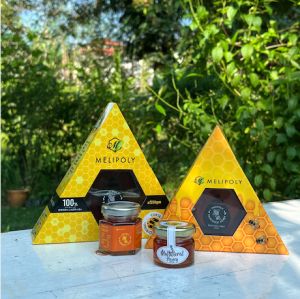 【BUY 2nd Item at 50%🔥】Melipoly 550gm Madu Bunga Untuk Kesihatan Diri Dan Madu Asli di Hutan Malaysia | Multifloral Honey Natural 100% Pure Raw Honey Multi Flora Healthy Original Helps To Boost Up Immune System  MFH-SQ-550