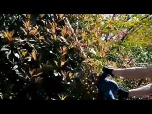 MAKITA Mesin Potong Dahan Cordless & Pemangkas Ranting Bunga